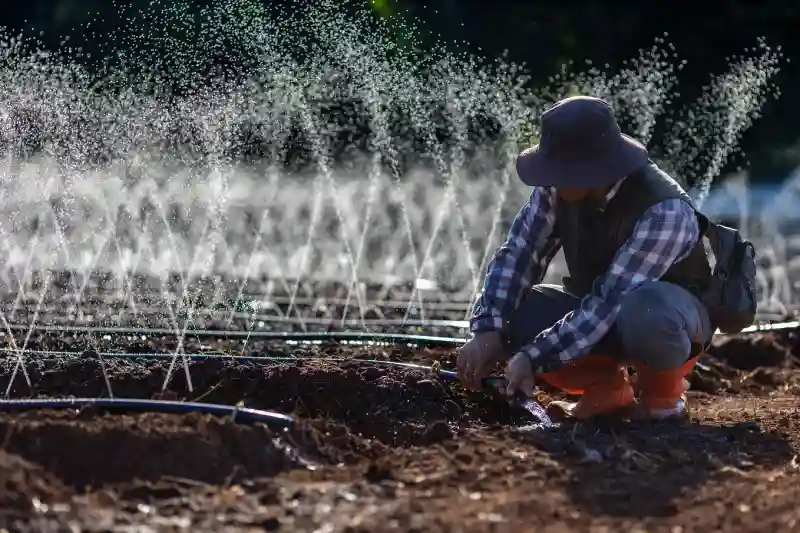 Lawn Fertilization and Irrigation Installation