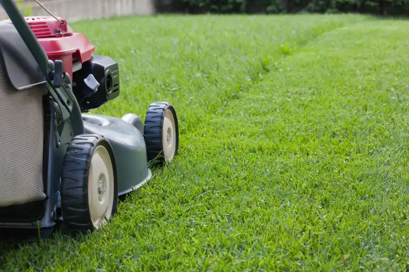 Outstanding Lawn Mowing Services in Wilmington, NC 