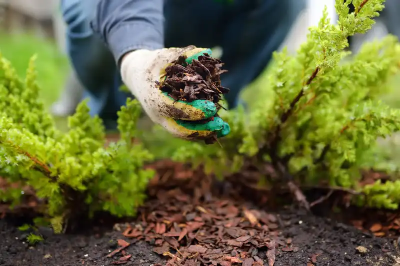 Professional Mulching Service in Wilmington, NC 