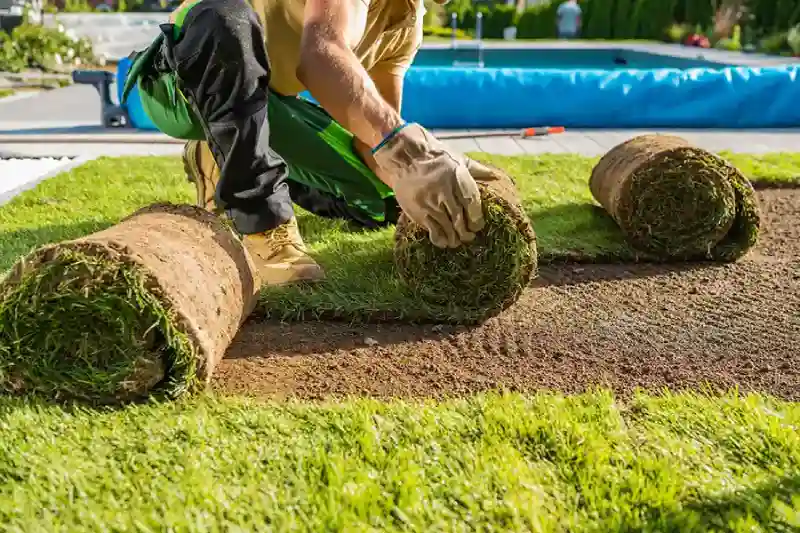 Outstanding Sod Installation Service in Wilmington, NC 