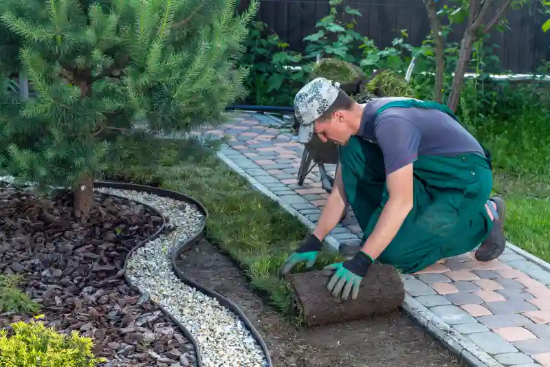 Professional Sod Installation Service in Wilmington, NC 