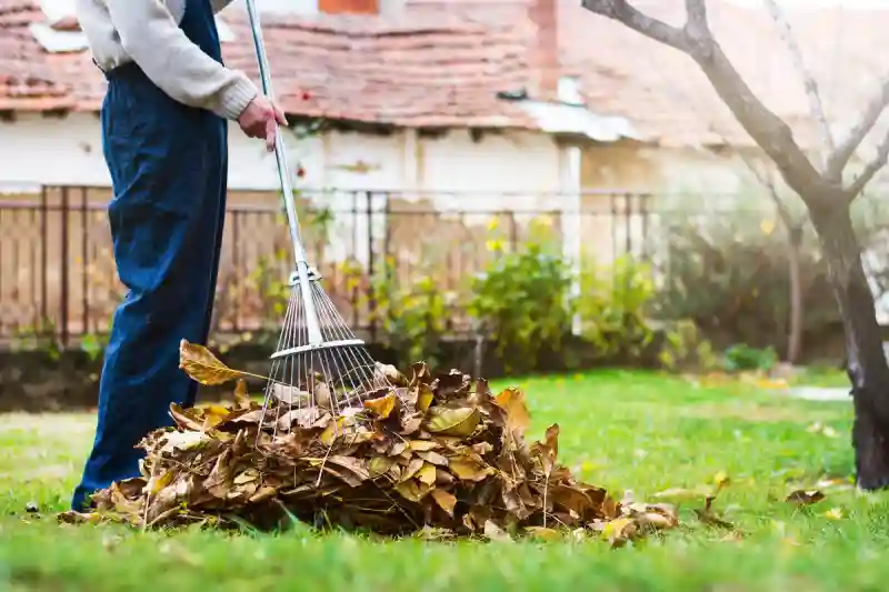 Reliable Yard cleanup Service in Wilmington, NC 